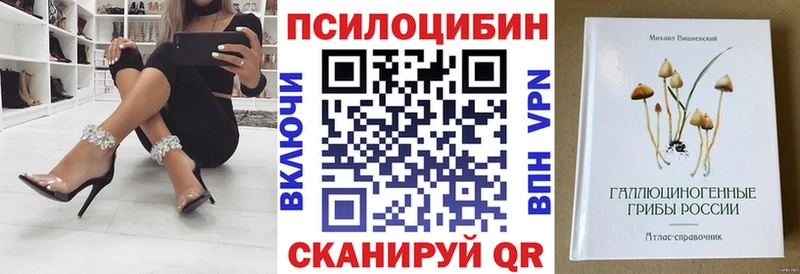 купить закладку  Верещагино  Псилоцибиновые грибы ЛСД 